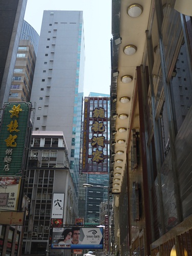 P1040234.JPG