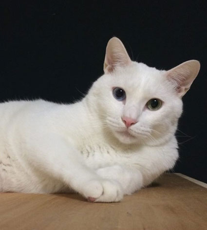 10342725_10152367080418080_758335780_n 10342725_10152367080418080_758335780_n