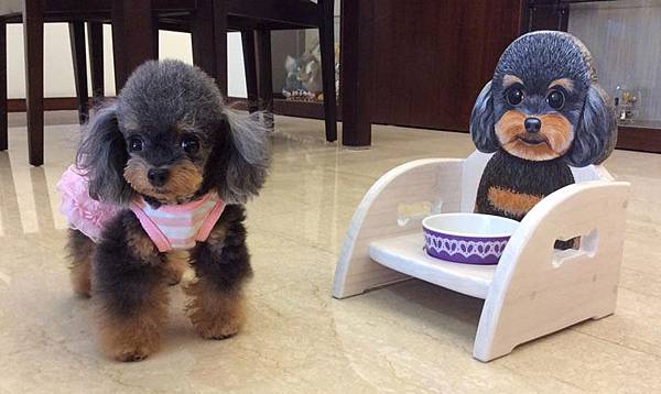 10706432_1533583460192896_1848246977_n