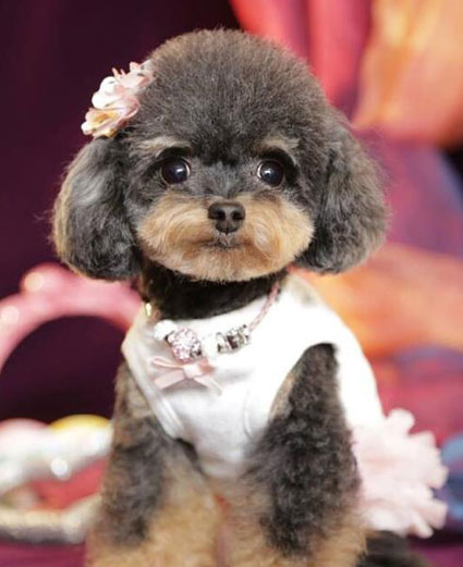 10647723_1526653430885899_860305079_n 10647723_1526653430885899_860305079_n