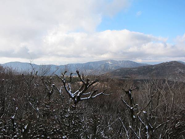 IMG_1113 IMG_1113