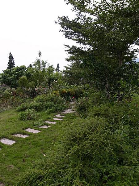 R0058471.JPG R0058471.JPG