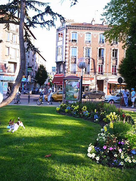 R0018802.JPG R0018802.JPG