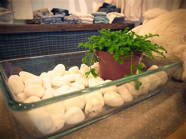 R0030951.JPG R0030951.JPG