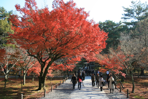 IMG_7909.JPG IMG_7909.JPG