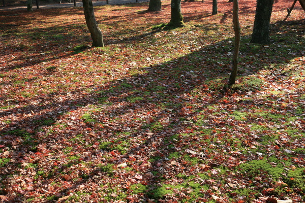 IMG_7910.JPG IMG_7910.JPG