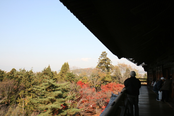 IMG_7928.JPG IMG_7928.JPG