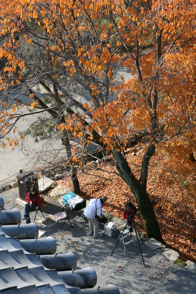 IMG_7929.JPG IMG_7929.JPG