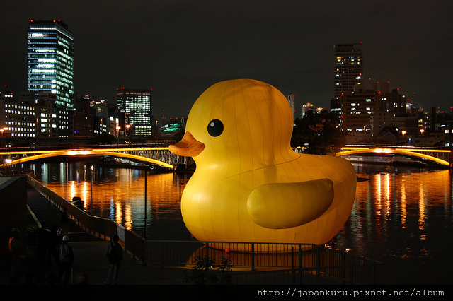 duck project_2010 osaka duck project_2010 osaka