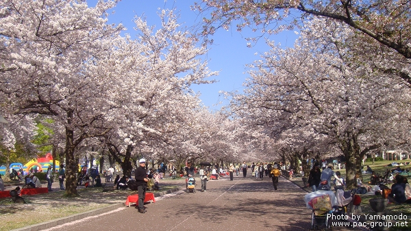 萬博記念公園 (10).jpg 萬博記念公園 (10).jpg