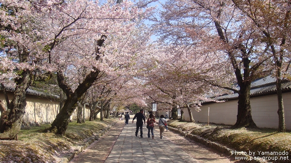 醍醐寺 (1).jpg 醍醐寺 (1).jpg