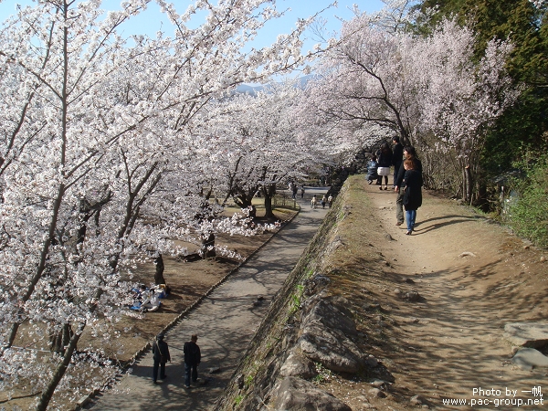 小諸懷古園 (14).jpg 小諸懷古園 (14).jpg