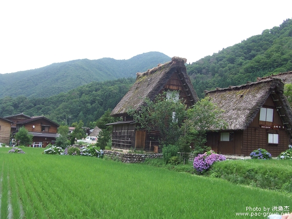 白川鄉合掌村 (5).jpg 白川鄉合掌村 (5).jpg