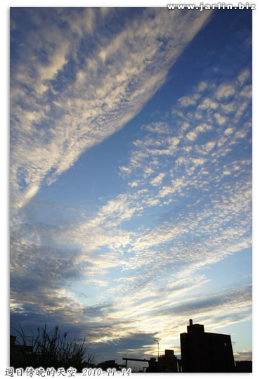 101114_07.jpg 101114_07.jpg