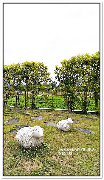晨曦42 晨曦42