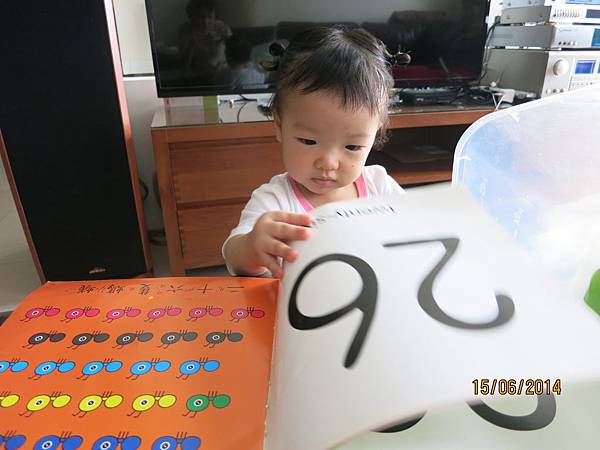 IMG_2310 IMG_2310