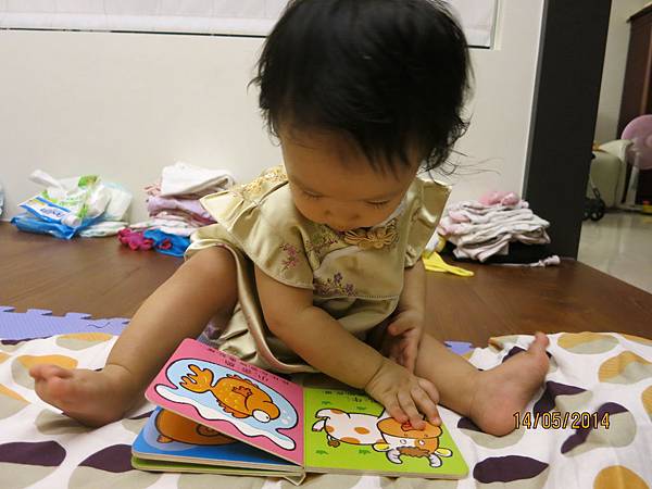 IMG_2032 IMG_2032