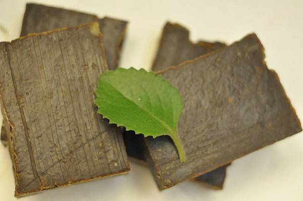 1044539_4413816359928_9218837922642744312_n