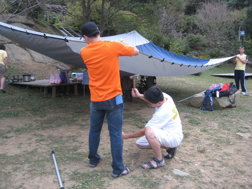 IMG_0816.JPG IMG_0816.JPG