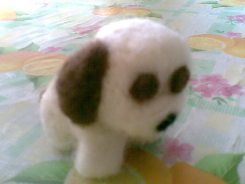 20091127(031).jpg 20091127(031).jpg