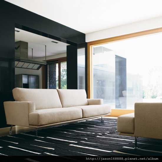 cassinam_df166e38.jpg cassinam_df166e38.jpg