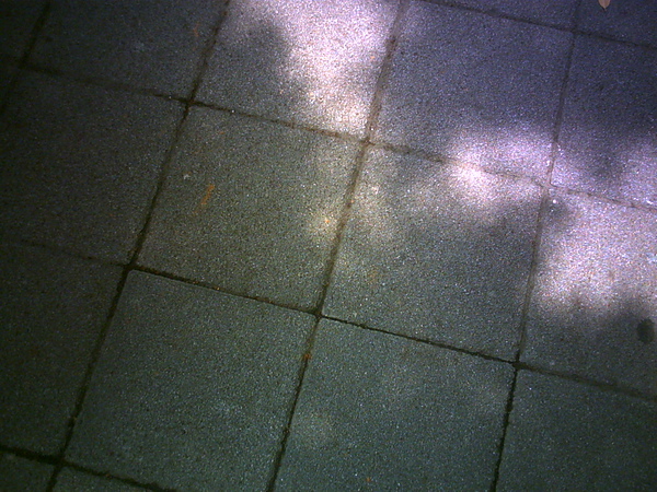 PICT0001.JPG PICT0001.JPG