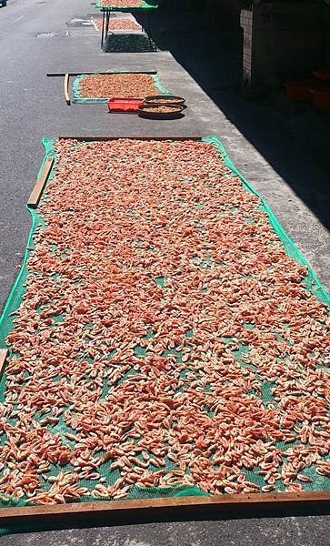 10612998_843249062352170_948048646675214102_n