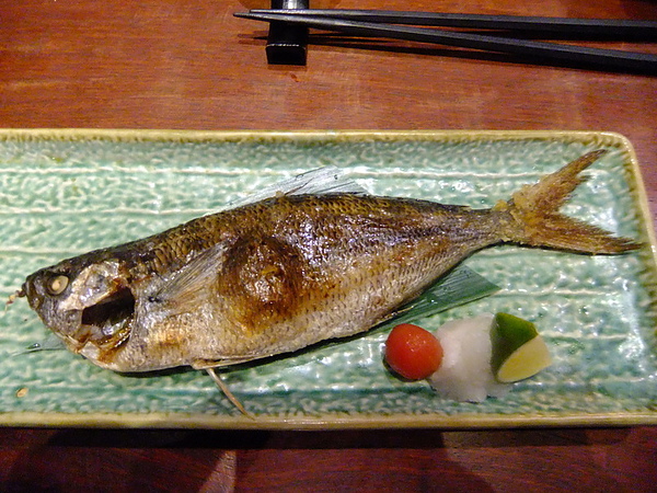 DSCF3284.jpg DSCF3284.jpg