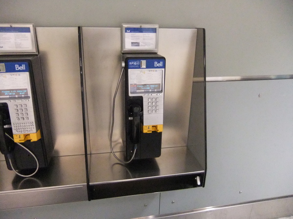 DSCF0278.jpg DSCF0278.jpg