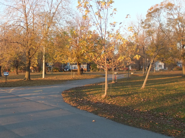 DSCF1859.jpg DSCF1859.jpg