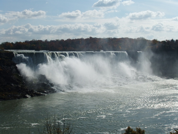 DSCF0804.JPG DSCF0804.JPG