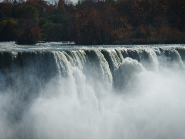 DSCF0805.JPG DSCF0805.JPG