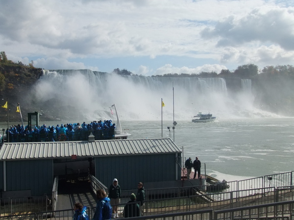 DSCF0817.JPG DSCF0817.JPG