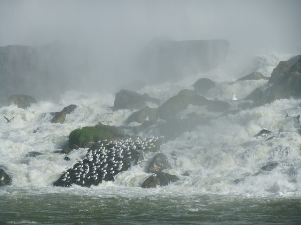 DSCF0829.JPG DSCF0829.JPG