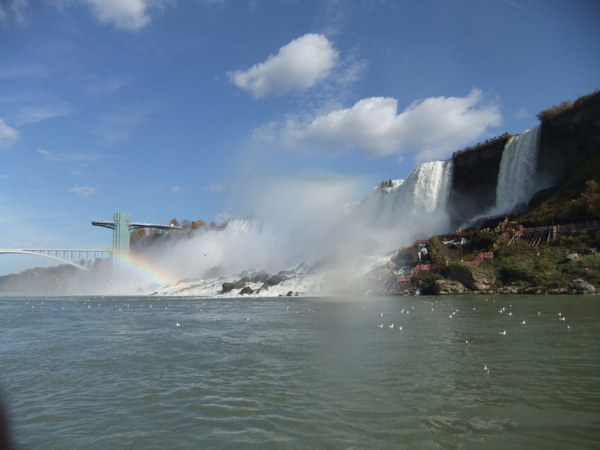 DSCF0830.JPG DSCF0830.JPG