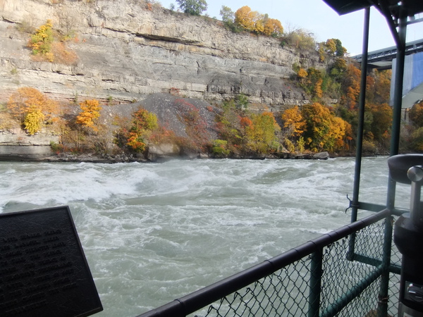 DSCF0877.JPG DSCF0877.JPG