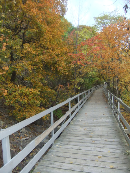 DSCF0883.JPG DSCF0883.JPG