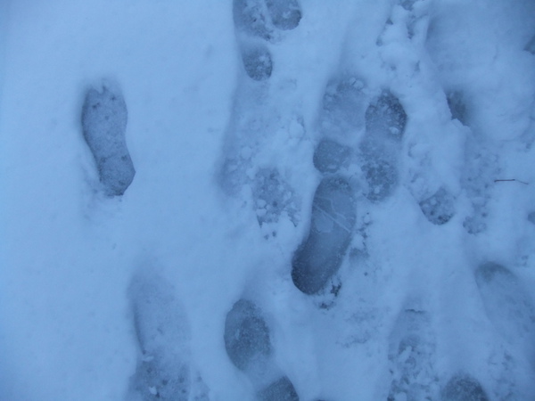 DSCF2180.jpg DSCF2180.jpg