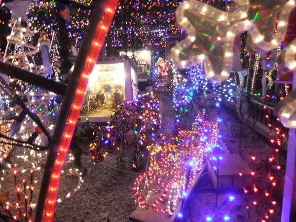 DSCF2388.jpg DSCF2388.jpg