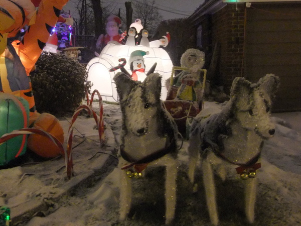 DSCF2392.jpg DSCF2392.jpg