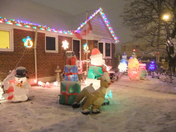 DSCF2393.jpg DSCF2393.jpg