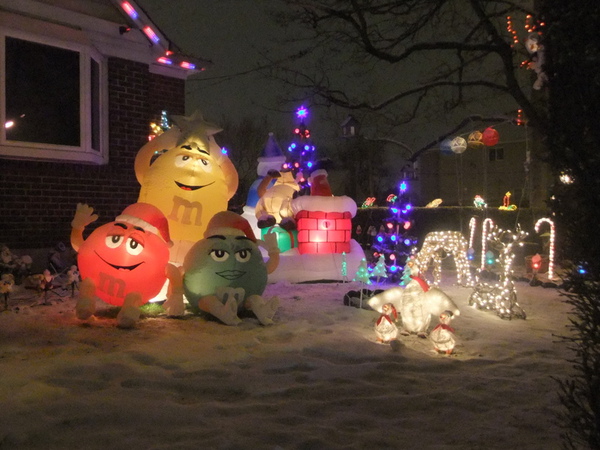 DSCF2394.jpg DSCF2394.jpg