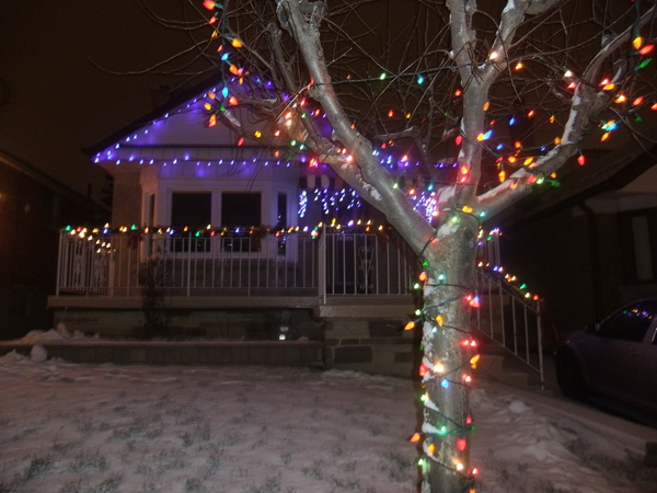 DSCF2424.jpg DSCF2424.jpg