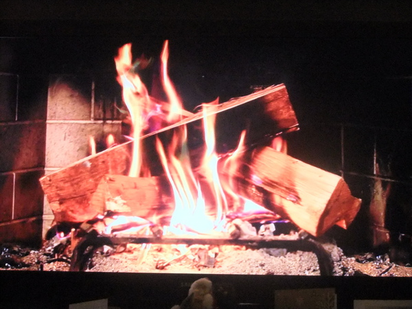 DSCF2448.JPG DSCF2448.JPG