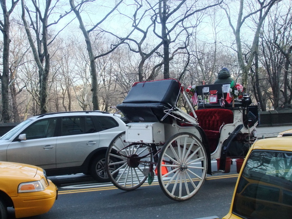 DSCF2589.JPG DSCF2589.JPG