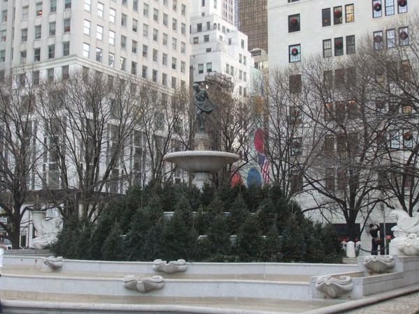 DSCF2593.JPG DSCF2593.JPG