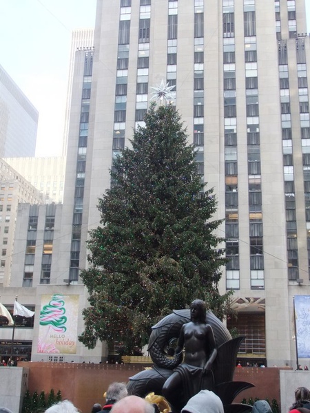 DSCF2616.JPG DSCF2616.JPG