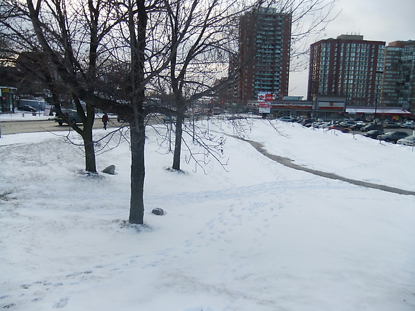 DSCF3164.jpg DSCF3164.jpg