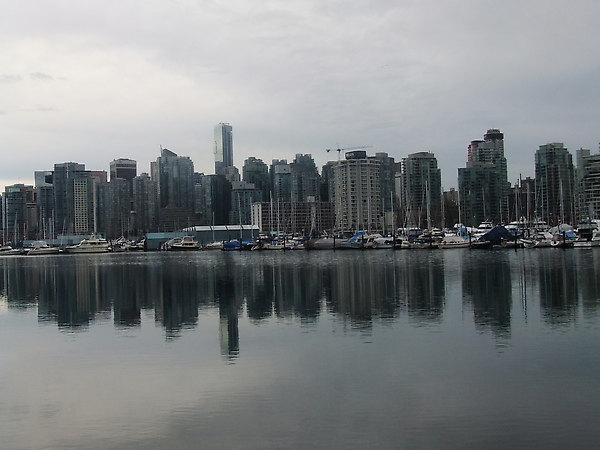 DSCF3224.jpg DSCF3224.jpg