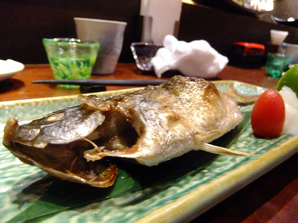 DSCF3285.jpg DSCF3285.jpg